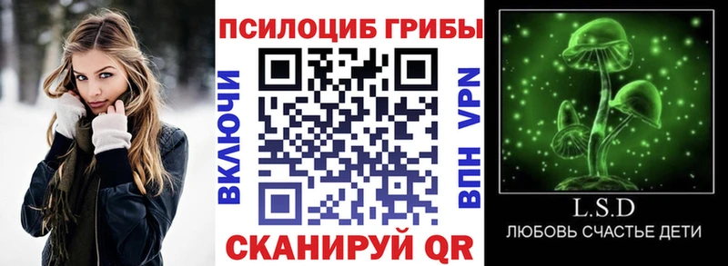 магазин продажи   Зуевка  Галлюциногенные грибы Psilocybine cubensis 